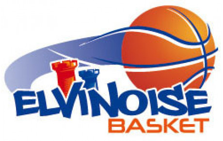 Elven elvinoise basket 